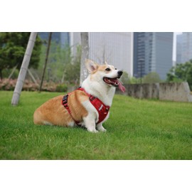 UNA MASCOTA Pechera Arnés De Seguridad para Perro Chico Mediano Y Grande (Rojo, XS)