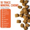 Schupethauer SCHUPETHAUER Dog Trace Mineral Chews C Supports Growth, Nutrient Absorption, and Skin & Coat Health, 60 Count