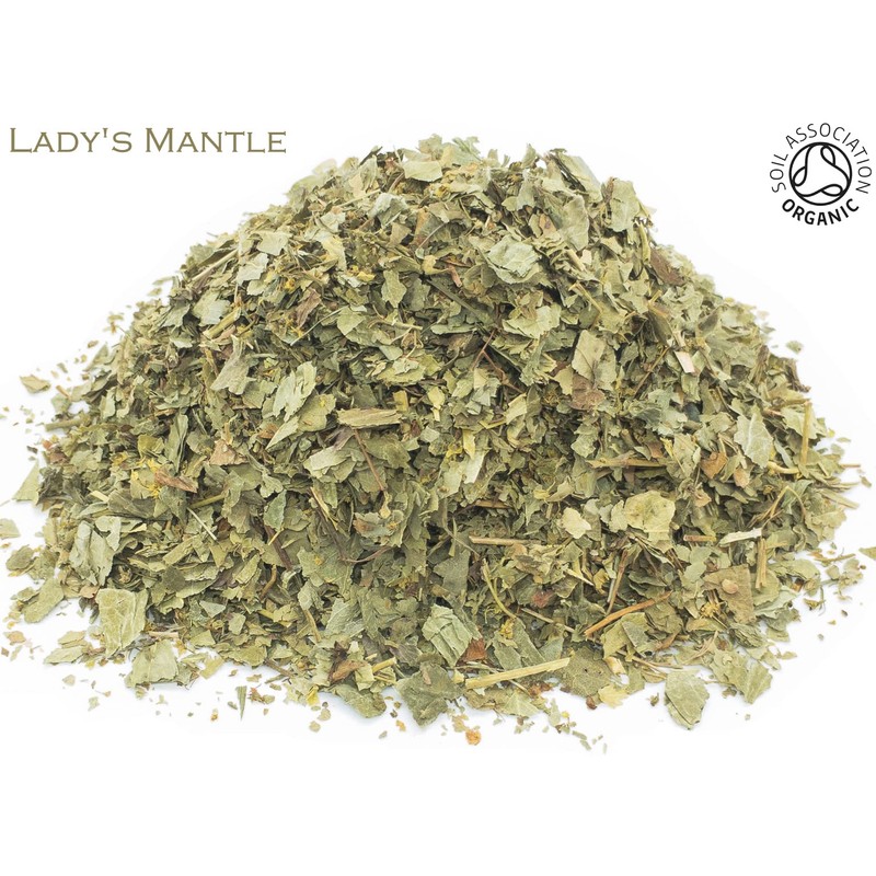 Organic Lady's Mantle Pure Herbal Infusion (25 Unbleached Tea Bags