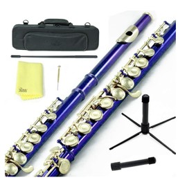 Sky Closed Hole C Flute with Lightweight Case, Cleaning Rod, Cloth, Joint Grease and Screw Driver (Blue/Gold Closed Hole)