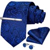 DiBanGu Paisley Ties for Men Silk Necktie and Pocket Square