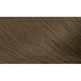Hoyu Bigen Speedy Conditioning Color Refill #4A Ash Brown (Pack of 3)