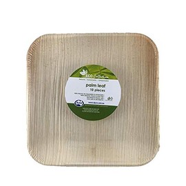 CATERING COLLECTION Palm Leaf Square Plate 8" P10 x 10