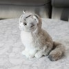 Artbox/Mingler Glacier Grey American Shorthair / 아트박스밍글러 글래시어그레이 아메리칸숏헤어