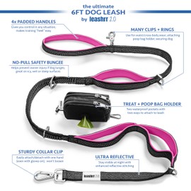 No Pull Dog Leash - Heavy Duty, Durable Bungee, 4 Padded Traffic Handles, Strong Carabiner Clips and Rings, Poop Bag Holder, Highly Reflective, 6 ft, Large Breeds by Leashrr 2.0 (Orange)