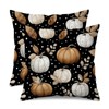 18x18 Inch Fall Pumpkin Pillow Covers Set of 2 Double-Sided