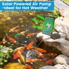NFESOLAR 4W Solar Pond Aerator with 2200mAh Battery Backup, All-in-One