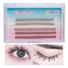 Natural False Eyelashes Wispy Individual Lashes, 3D-C-9-10-11mm Cluster Lashes Pack
