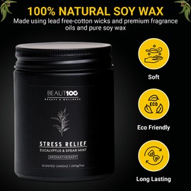 BEAUT100 Stress Relief Candle | Scented Candles for Men & Women | Eucalytus & Spear Mint Candle, Long Lasting Relax Soy Candles for Home.
