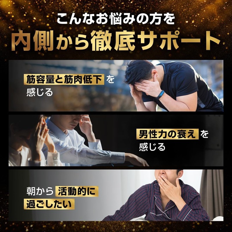 LEVEL.FIT Testroid EX Testofen Nutritional Functional Food Vitamin D Made