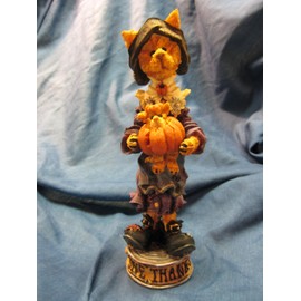 Purrscilla.... Give Thanks ................ Boyd Folkstone 2866