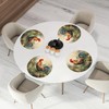 Round Braided Placemats Set of 6 Beautiful Rooster Table Mats