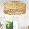 ainqiant Boho Caged Ceiling Fan with Light, 20'' Rattan Flush