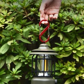 Alloy Carabiner S Binner Camping Ring Aluminum two way 50ea