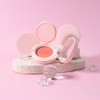 Powder Matte Blush Cheeks Face Makeup for Women With Mirror