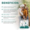 BIO B ǀ Probióticos con 100 Billones UFC + Prebióticos