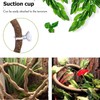 HERCOCCI Reptile Vines, Flexible Jungle Climbing Vines Terrarium Plastic Plants