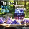 PICKNATURE Butterfly Pea Flower Tea Loose Leaf Freshly Picked from