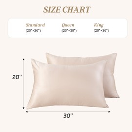 SheRest Queen Satin Pillowcase for Hair and Skin, Soft and Breathable Similar to Silk Pillow Cases for Sleepers, Luxurious Gift for Women Men, Set of 2 with Zipper(20"x 30", Champagne)