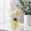 Aronica Twin Sola Diffuser 160ml_Eucalyptus and Bergamot Essential Oil Flower