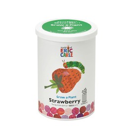 Seishin Ceramics HP-0203 Harapeko Aomushi Nakayoshi Cultivation Set, Wild Strawberry, Size: Approx. φ2.8 inches (7 cm), H4.1 inches (10.3 cm)