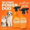 ANGRY ORANGE Pet Odor Eliminator for Dog and Cat Urine,
