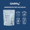 Wellthy Glicinato de Magnesio 120 Cápsulas. 432mg, 100% Natural, Alta