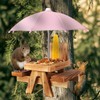 Gnodary Squirrel Feeder with Umbrella, Squirrel Feeders for Outside, Squirrel