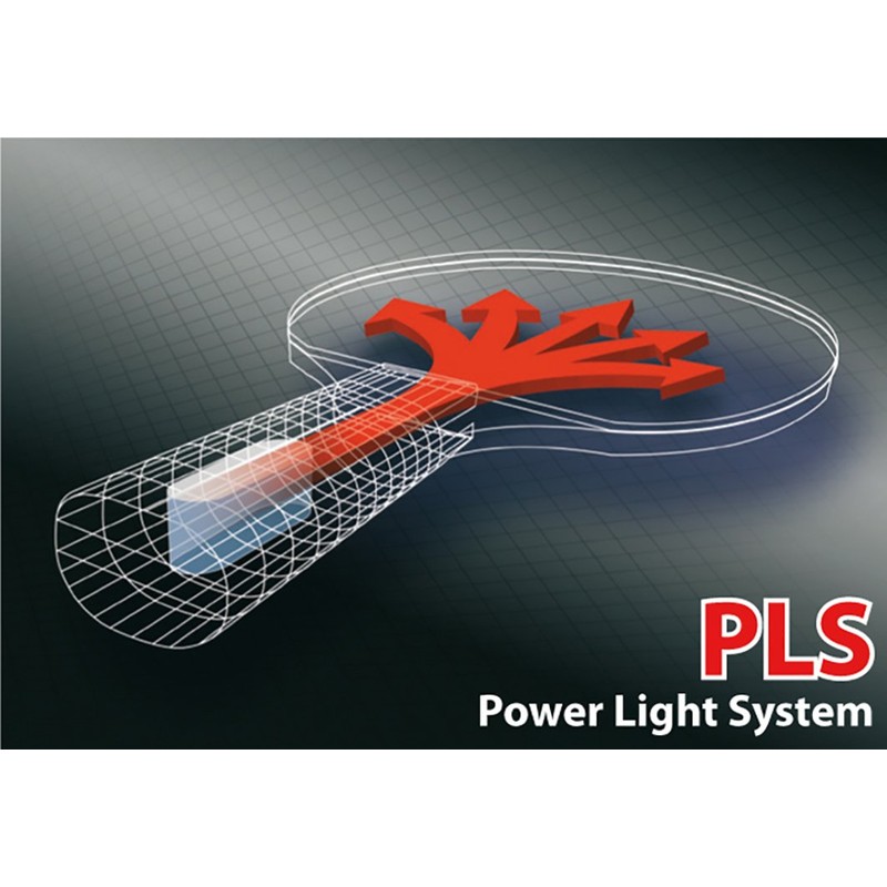Donic-Schildkröt Top Team 800 Table Tennis Bat, AVS & PLS