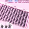 Winifred Manga Lash Clusters Wispy Eyelash Clusters 10-14mm C Curly