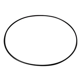 AS ONE G24 /1-066-08 O-Ring for Type 240 Vacuum Polycadesicators