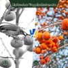 GWHOLE Bird Protection Net, Narrow Mesh Bird Net, Leaf Protection