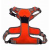 Hem and Boo Dog Harness, Sport Style, Orange, S, No-pull