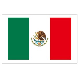 8 Large Mexico Flag Tattoos: Mexican World Cup Party Favors