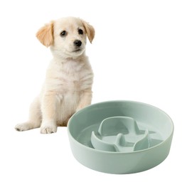 Havniva Small Dog Bowl Ceramic Slow Feeder Bowl for Small Dogs, Slow Feeder Bowl, Slow Drinking, Stops Bloating, Prevents Choking (1 x Light Green, 15.5cm)