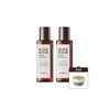 Skin Food [각질세럼] 블랙슈가 첫세럼 더 에센셜 150ml 1+1+증정 블랙슈가마스크