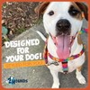 2 Hounds Design Freedom No-Pull Dog Harness with Leash, Burgundy,