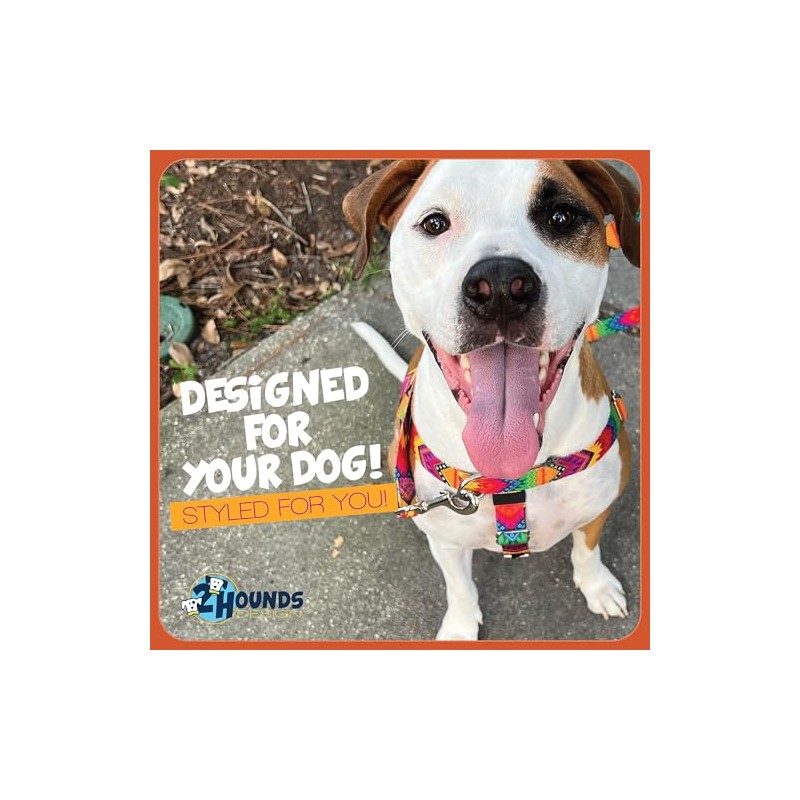 2 Hounds Design Freedom No-Pull Dog Harness with Leash, Burgundy,