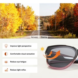 WGKVP Polarized Sunglasses, Ultra-Light and Durable glasses, UV400 Protection for men and women (Matte Clear Gray)