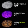 uvBeast New V3 365nm MINI - Black Light UV Flashlight