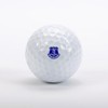 CaddyGolfStamps Everton Up The Toffees Football Design FC Golf Ball