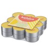 Bolsius True Citronella Scented Tea Lights