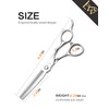Professional Thinning Shears 6 Inch,Undergoes Rigorous 238-Step Process,Professional Hair Scissors