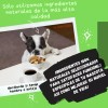 Colágeno Hidrolizado Alta Proteína Especial P/mascotas 100gr