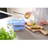 Emsa 508558 Food Clip & Close, Plastic, Transparent / Blue