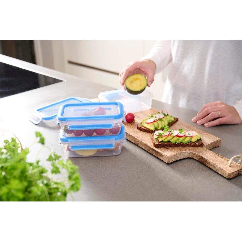 Emsa 508558 Food Clip & Close, Plastic, Transparent / Blue