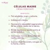 Celulas Madre Crema Hidratante 110grs. Y Suero 60ml. Set 2