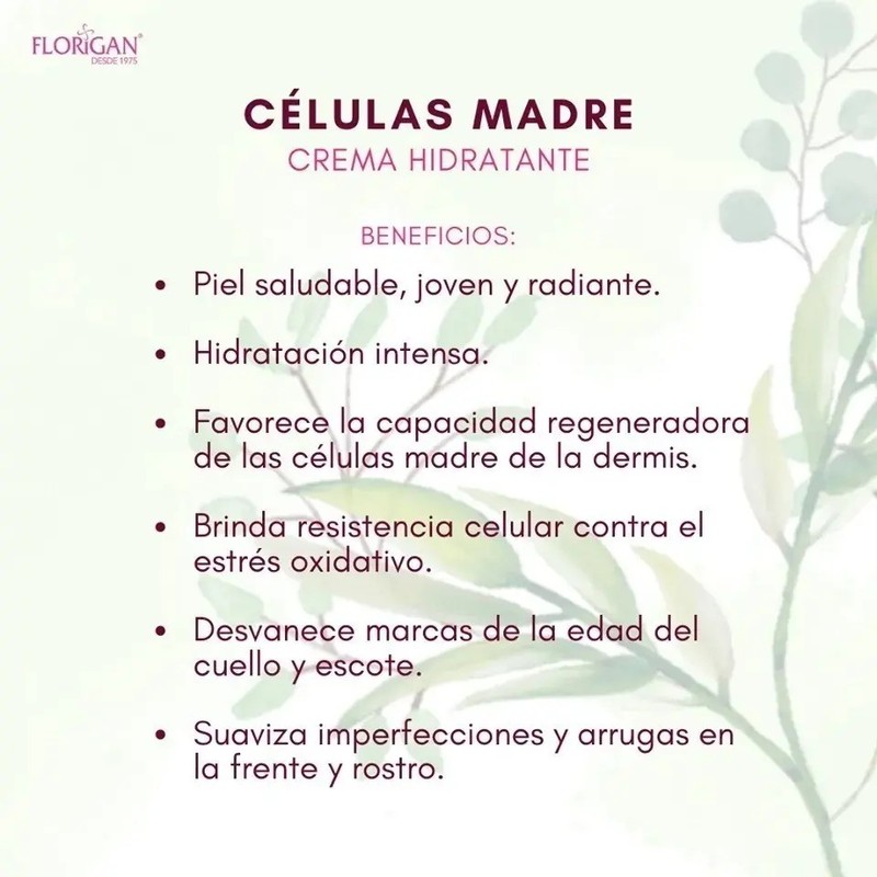 Celulas Madre Crema Hidratante 110grs. Y Suero 60ml. Set 2
