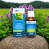 ABOVITAL Mint Oil Japanese Medicinal Plant Oil for Rubbing, Inhaling,