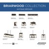 Briarwood Collection Antique Bronze Two-Light Farmhouse Flush Mount Ceiling Light